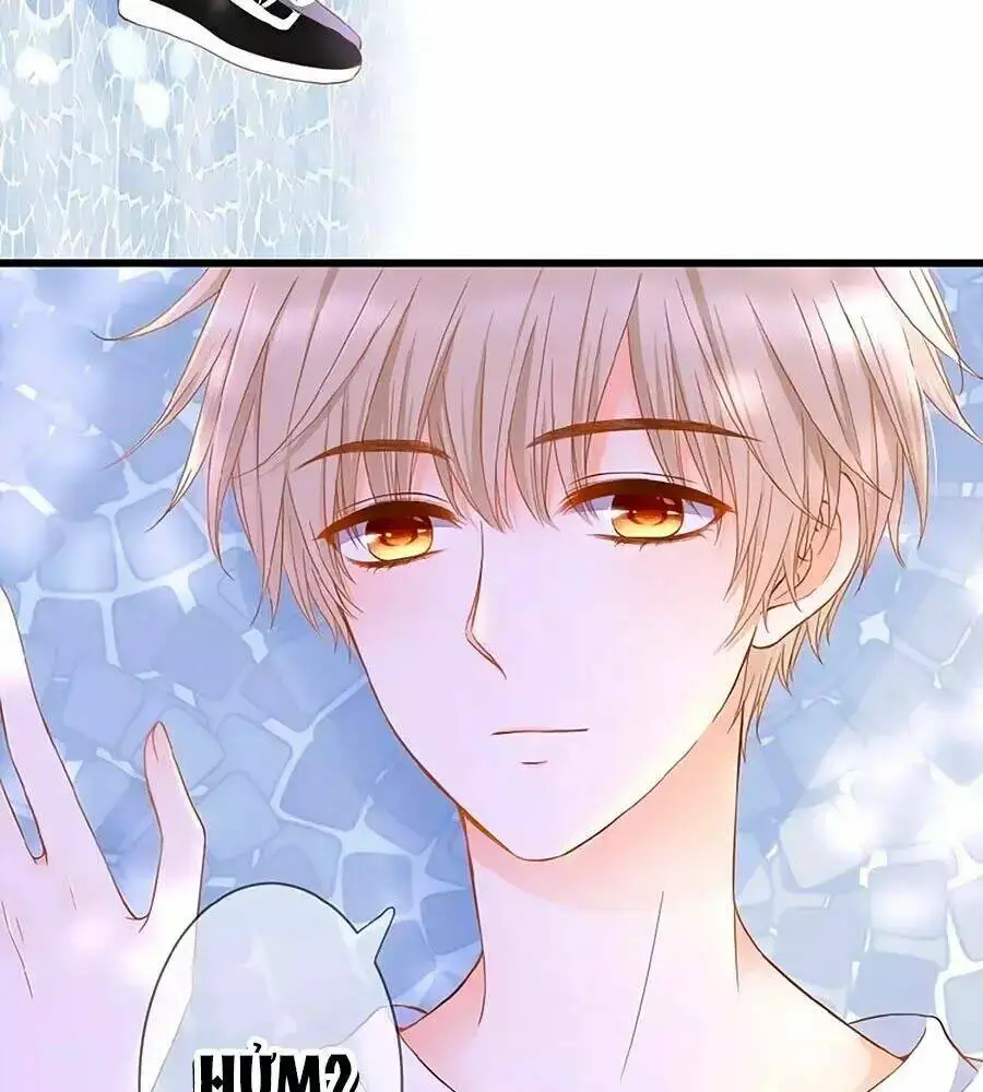 Chapter 3