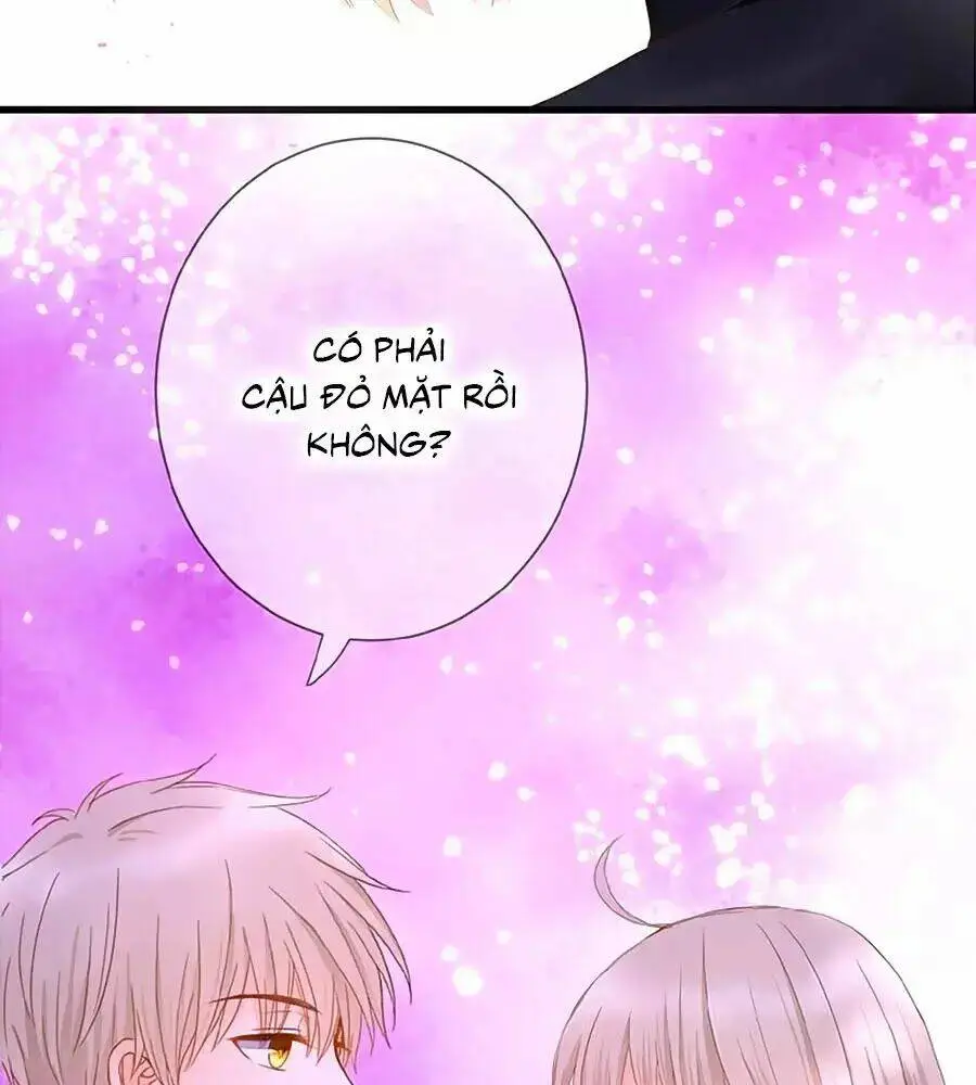 Chapter 3
