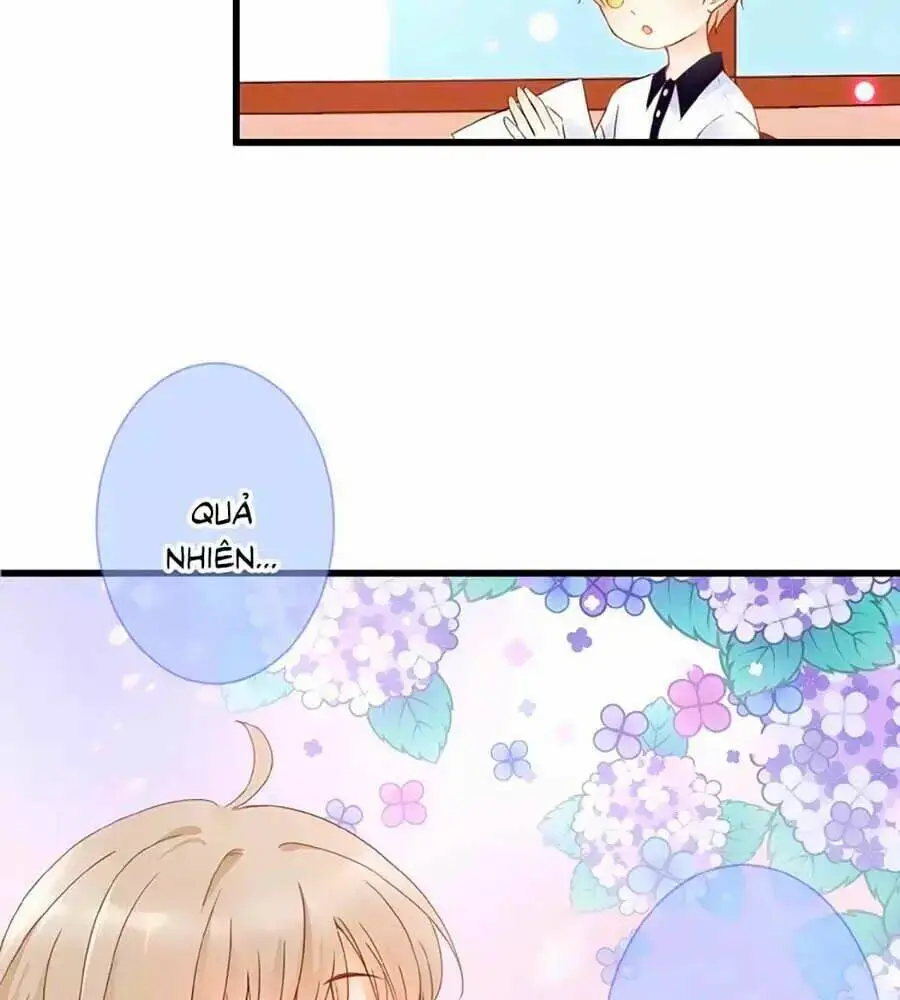 Chapter 1