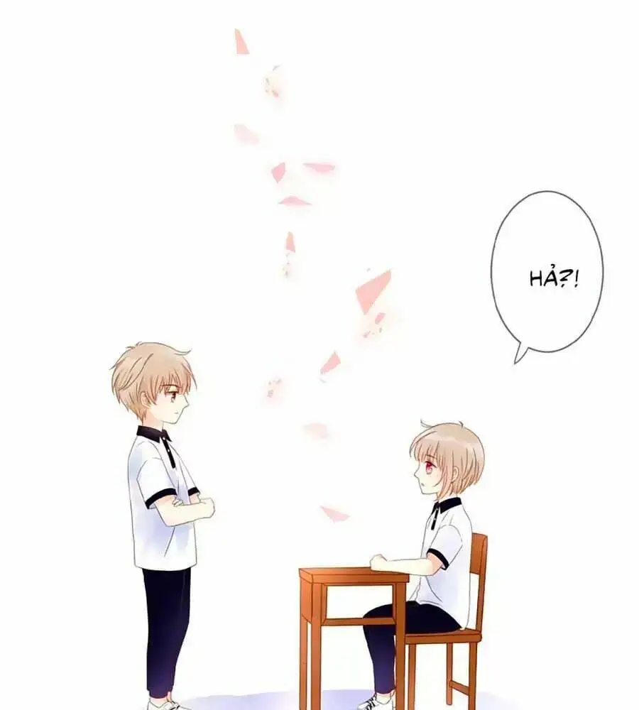 Chapter 1