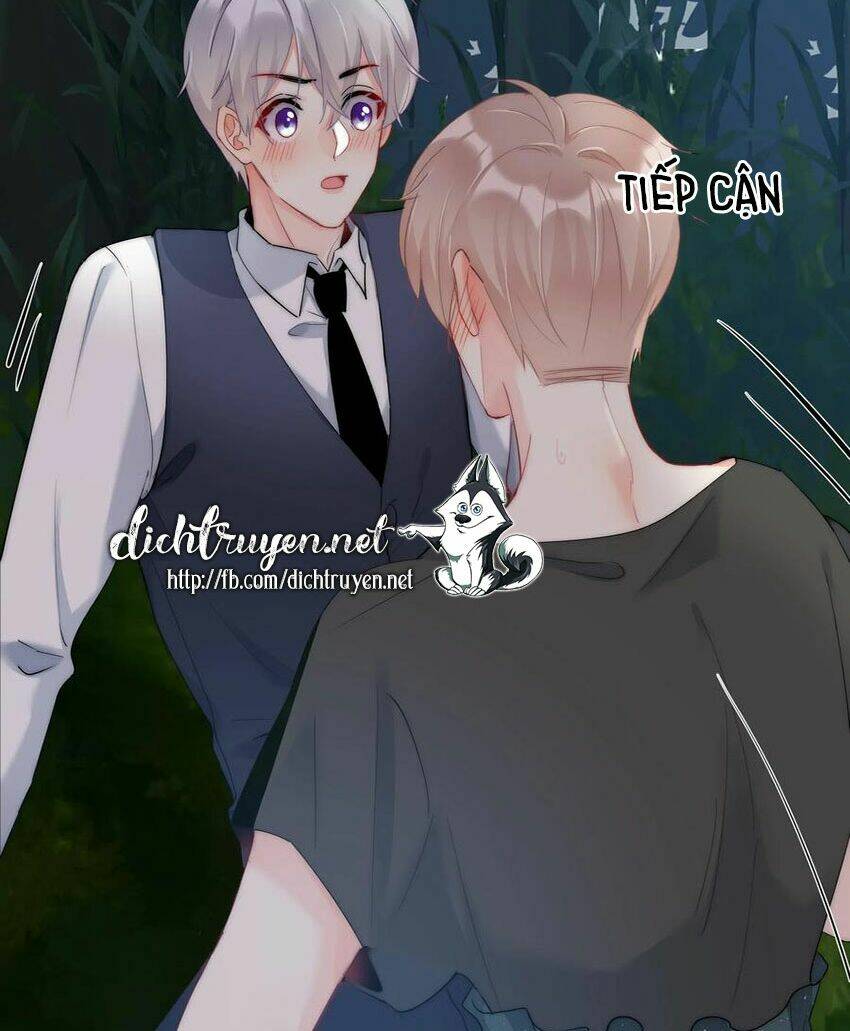 Chapter 46