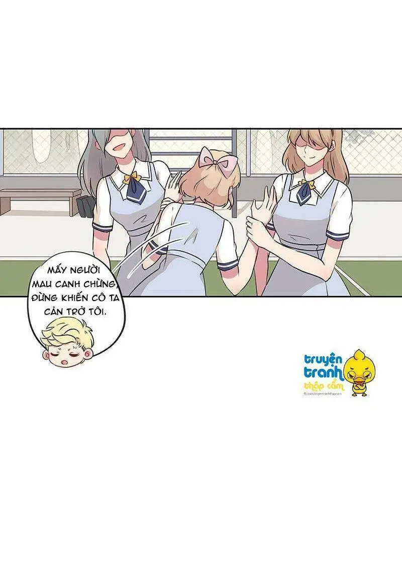 Chapter 28