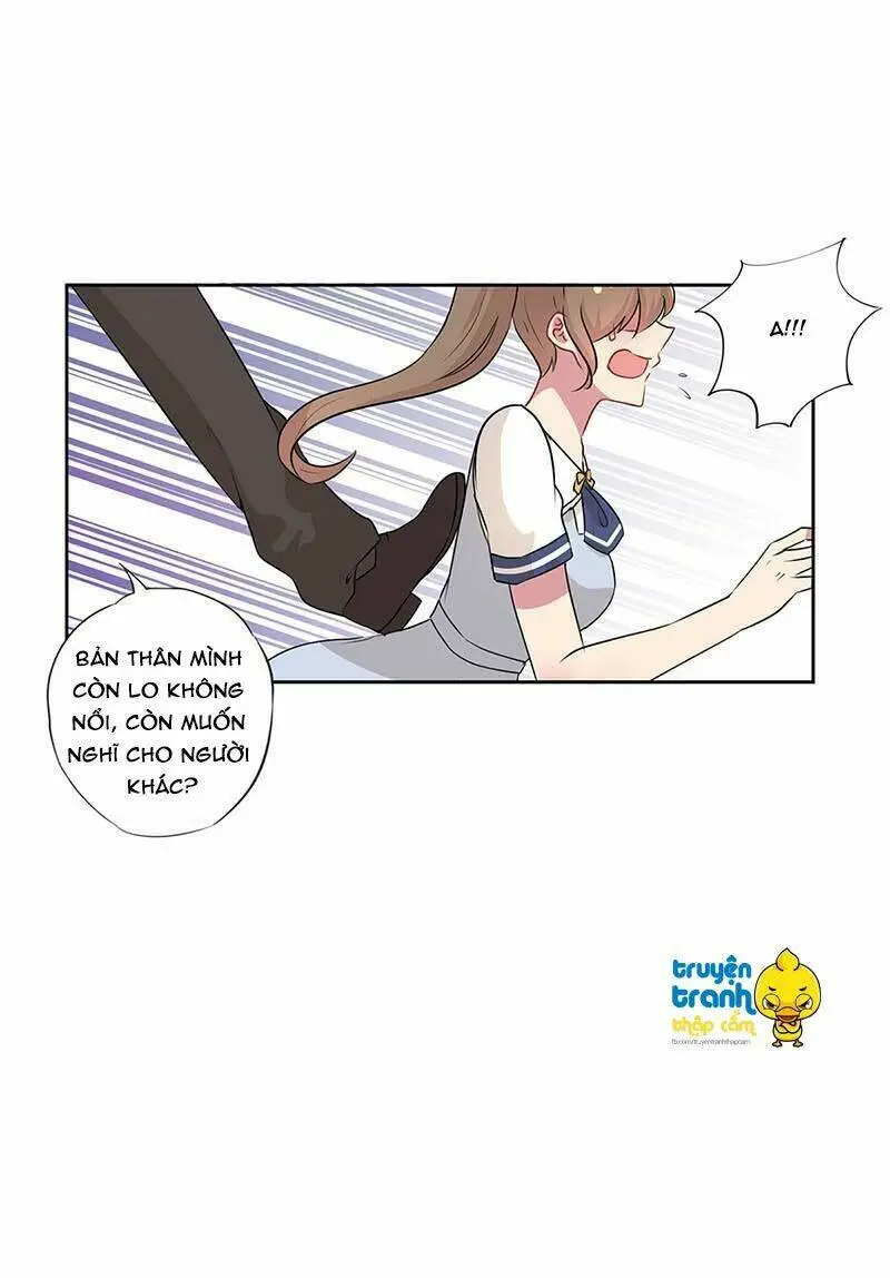 Chapter 28