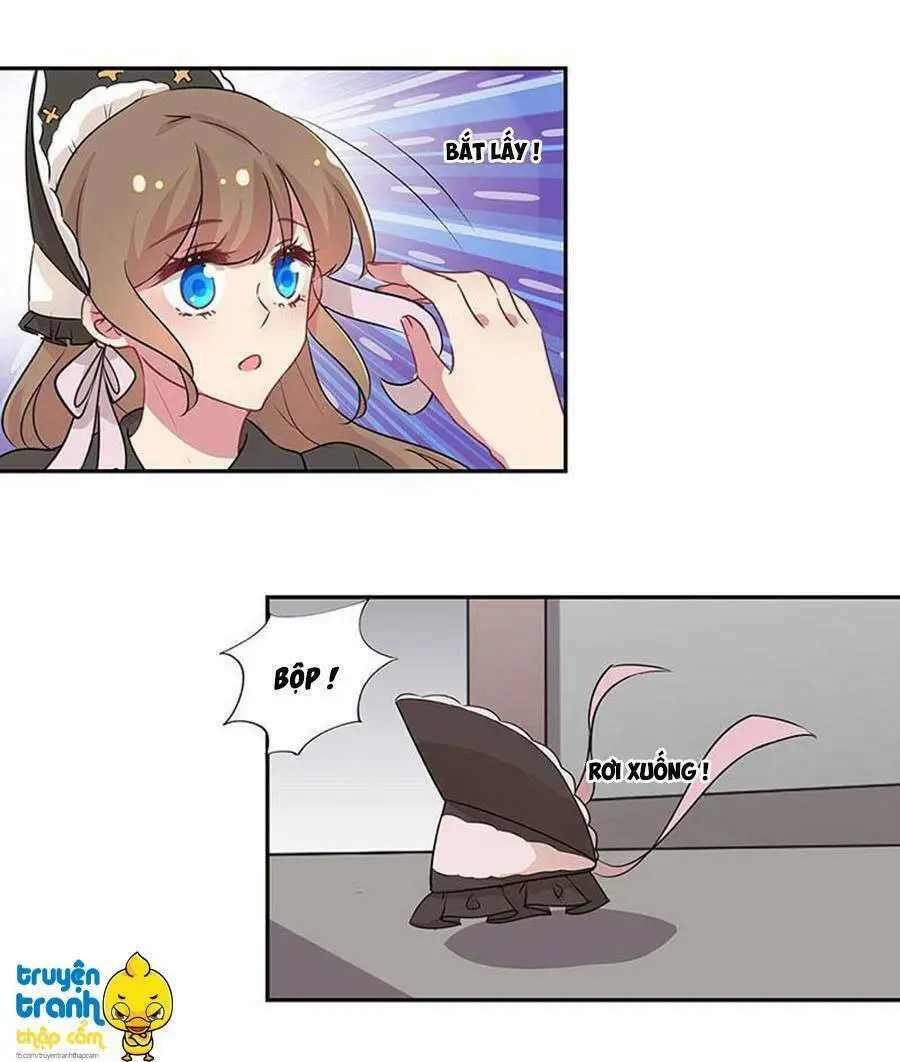 Chapter 19
