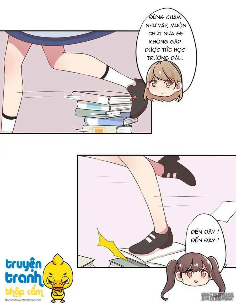 Chapter 14