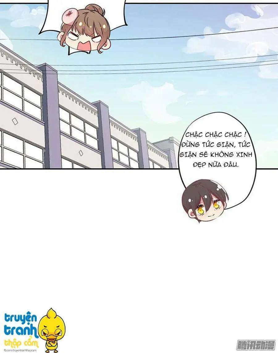 Chapter 14