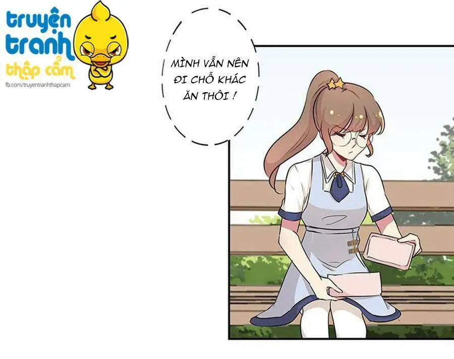 Chapter 13