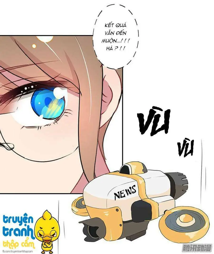 Chapter 13