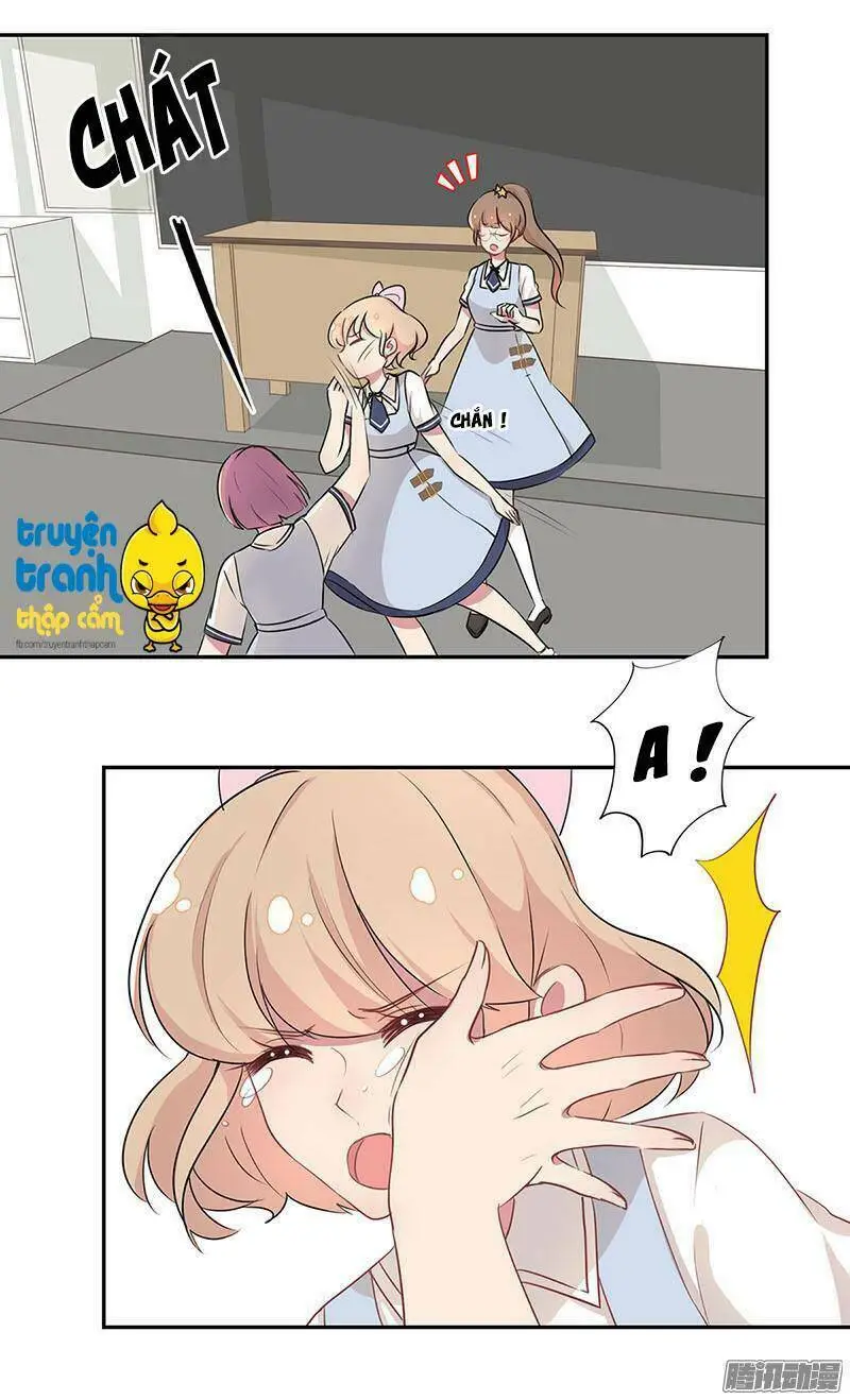 Chapter 3