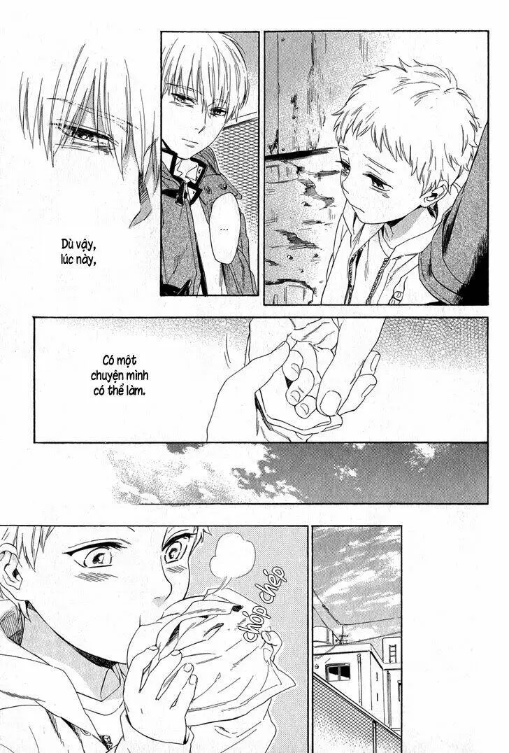 Chapter 25
