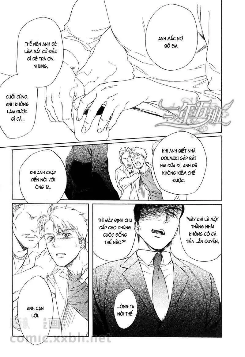 Chapter 22