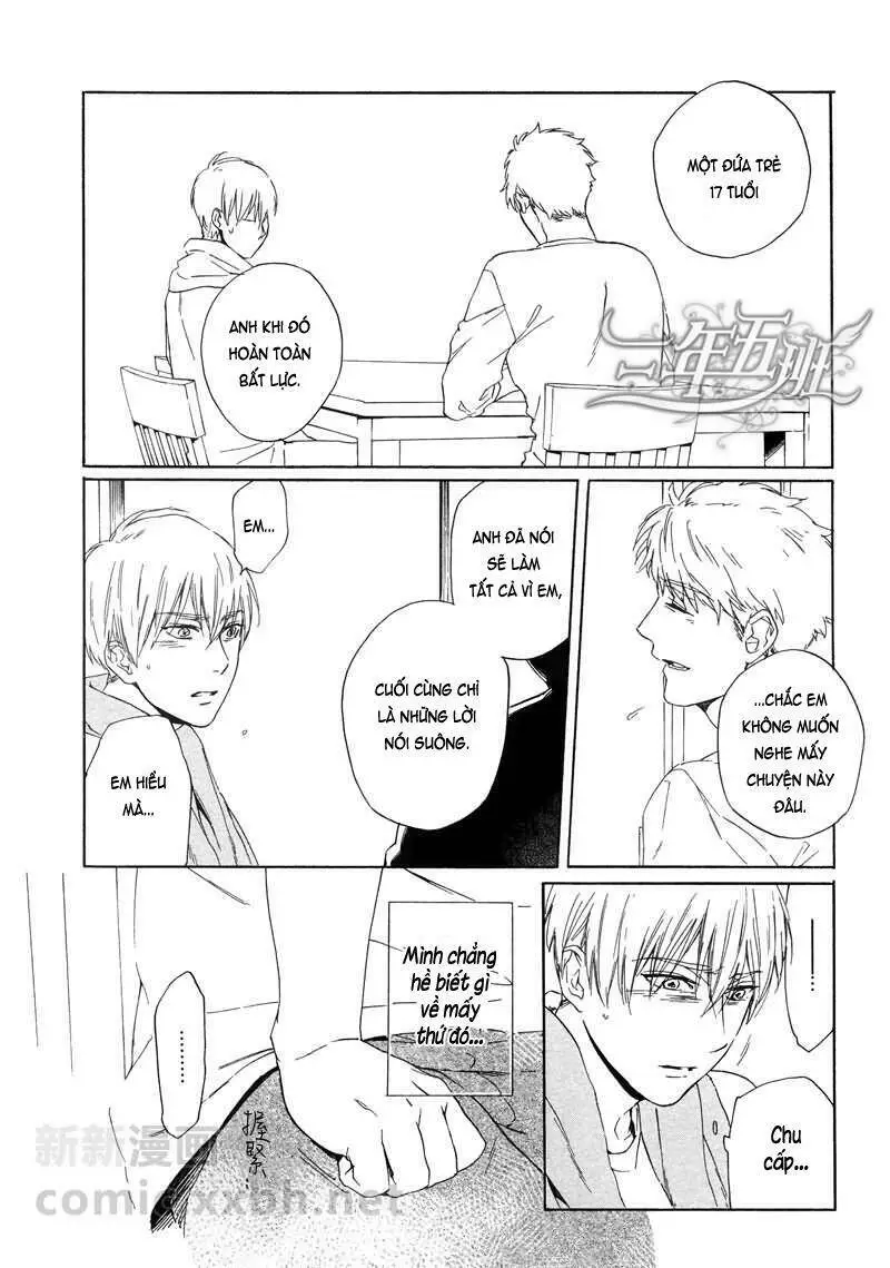 Chapter 22