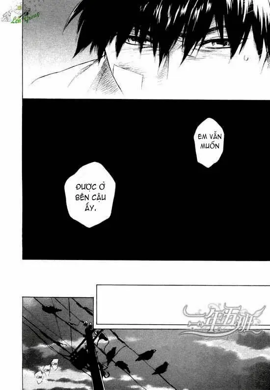 Chapter 15