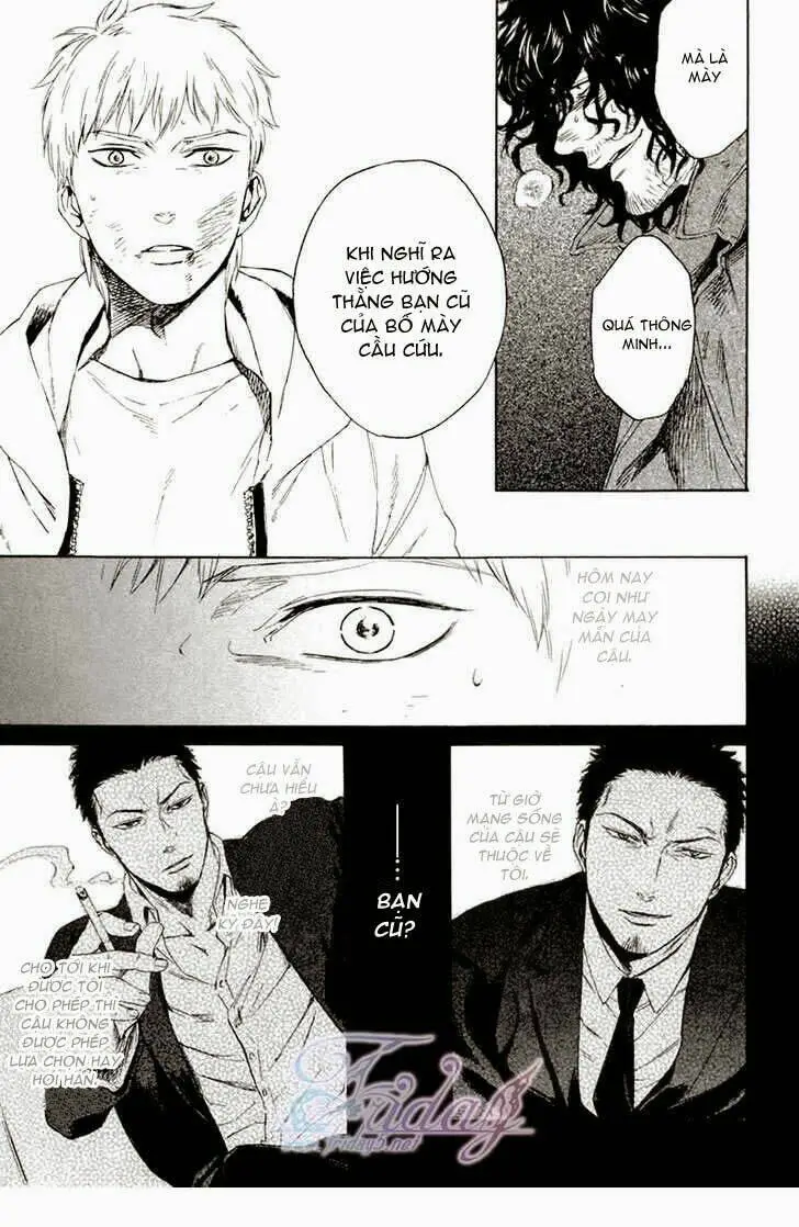 Chapter 10