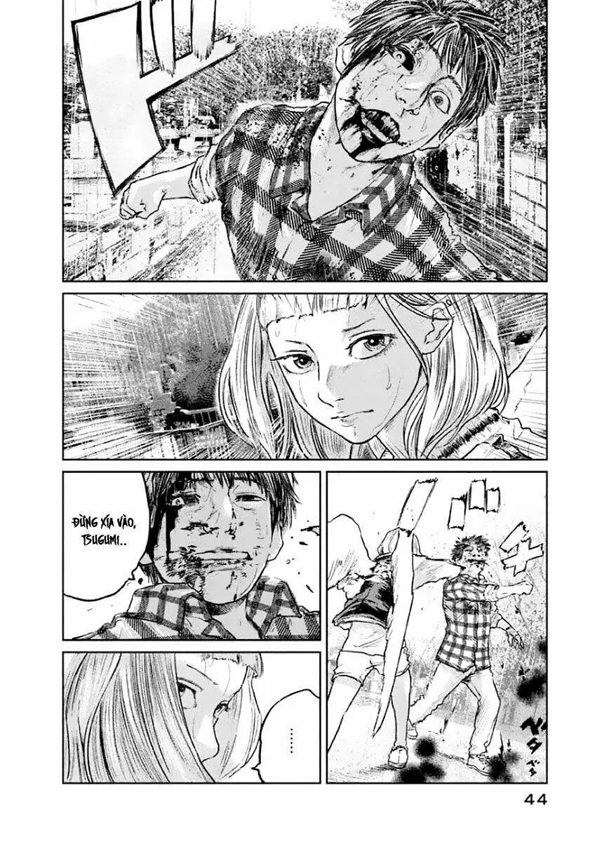 Chapter 19