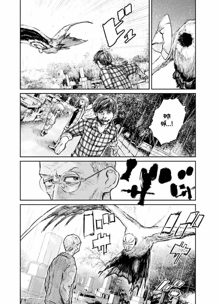 Chapter 19