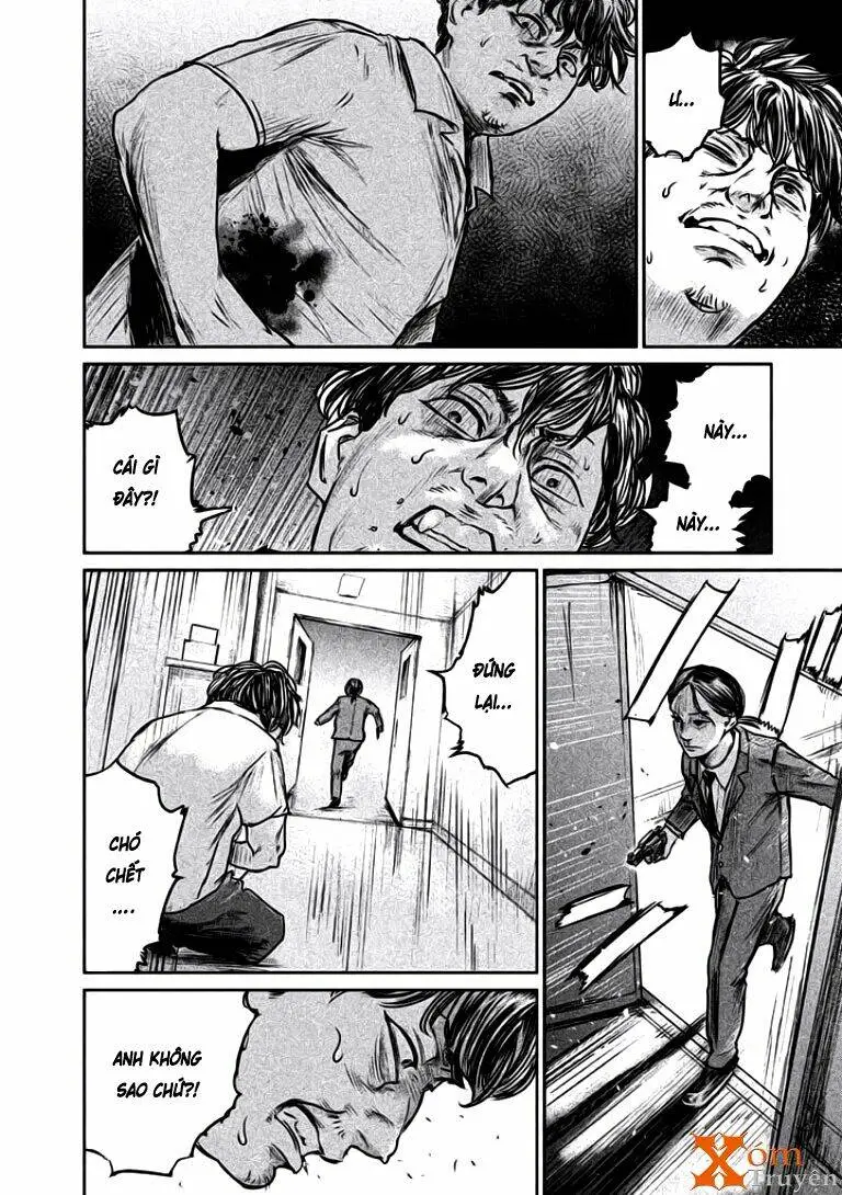 Chapter 13