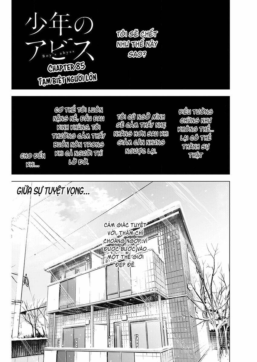 Chapter 85