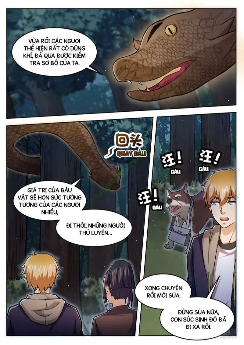 Chapter 49