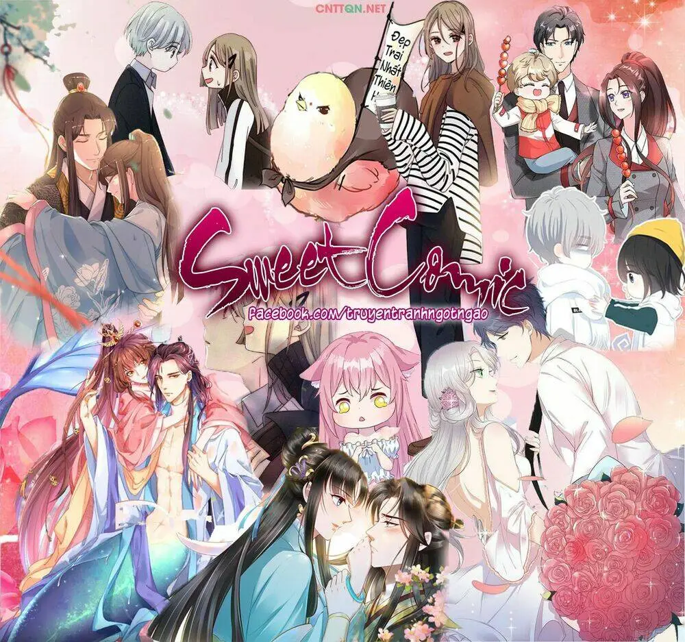 Chapter 31