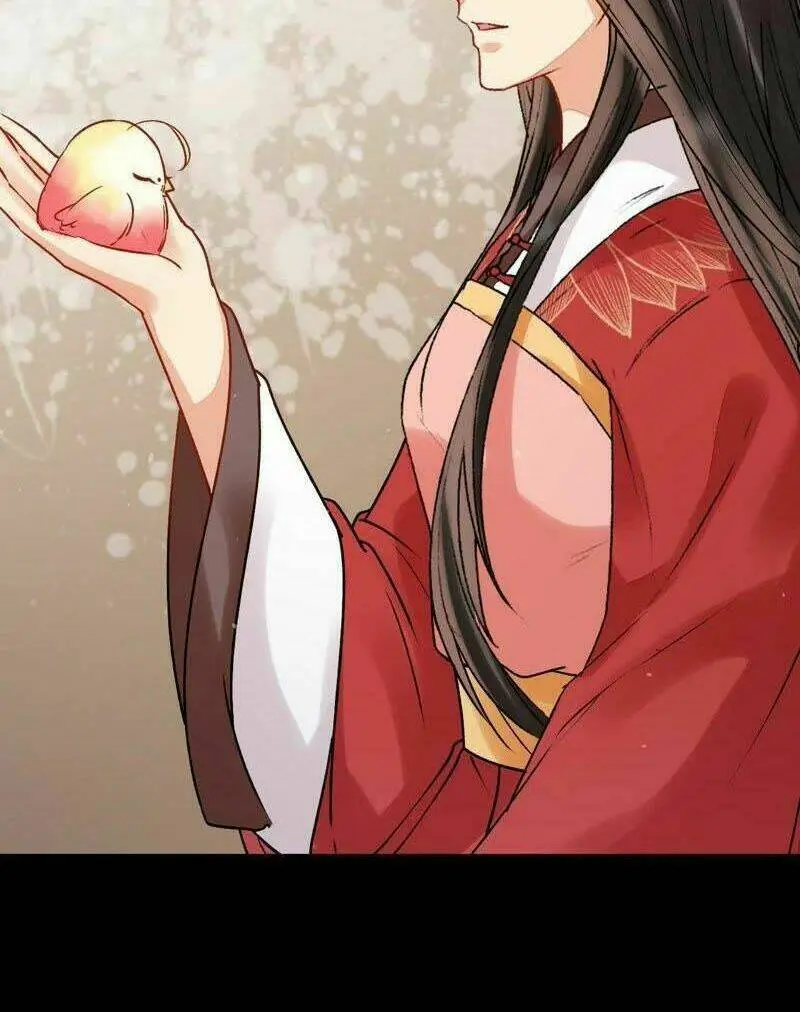 Chapter 19