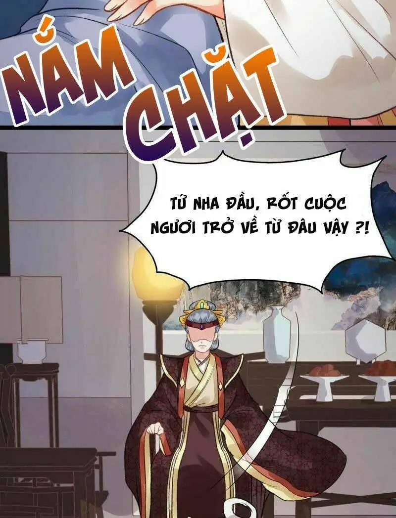 Chapter 7
