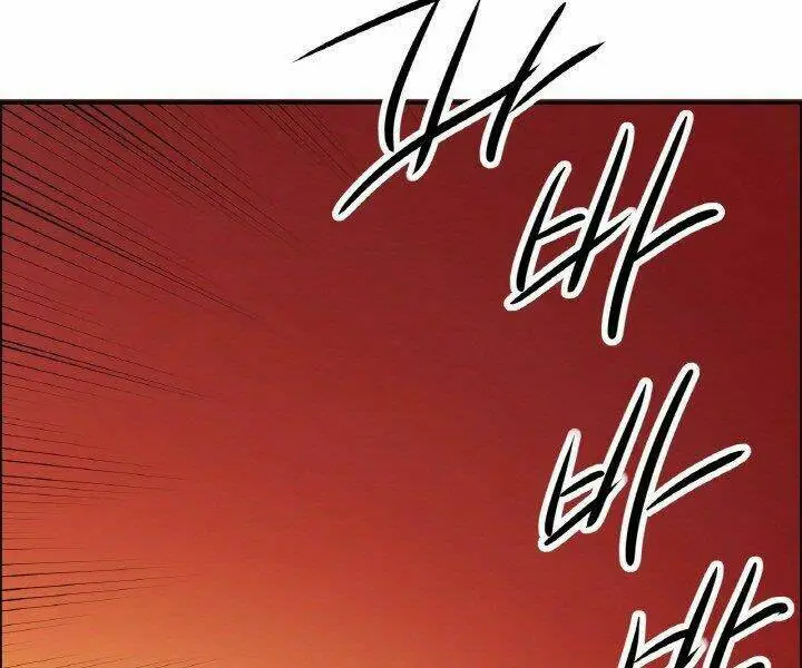 Chapter 19