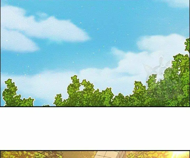 Chapter 19