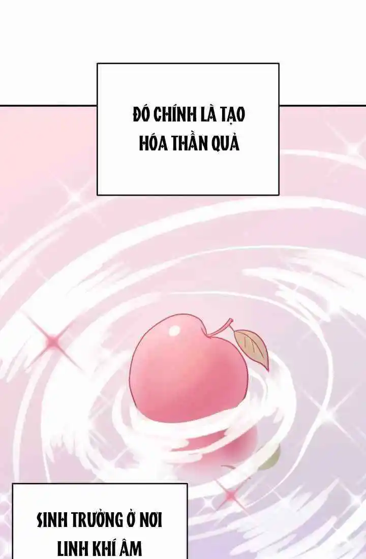 Chapter 2