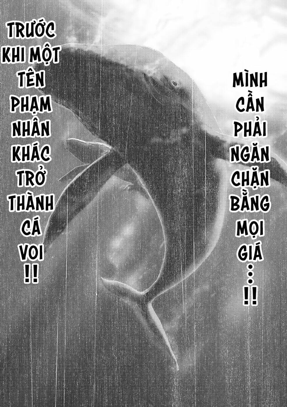 Chapter 87