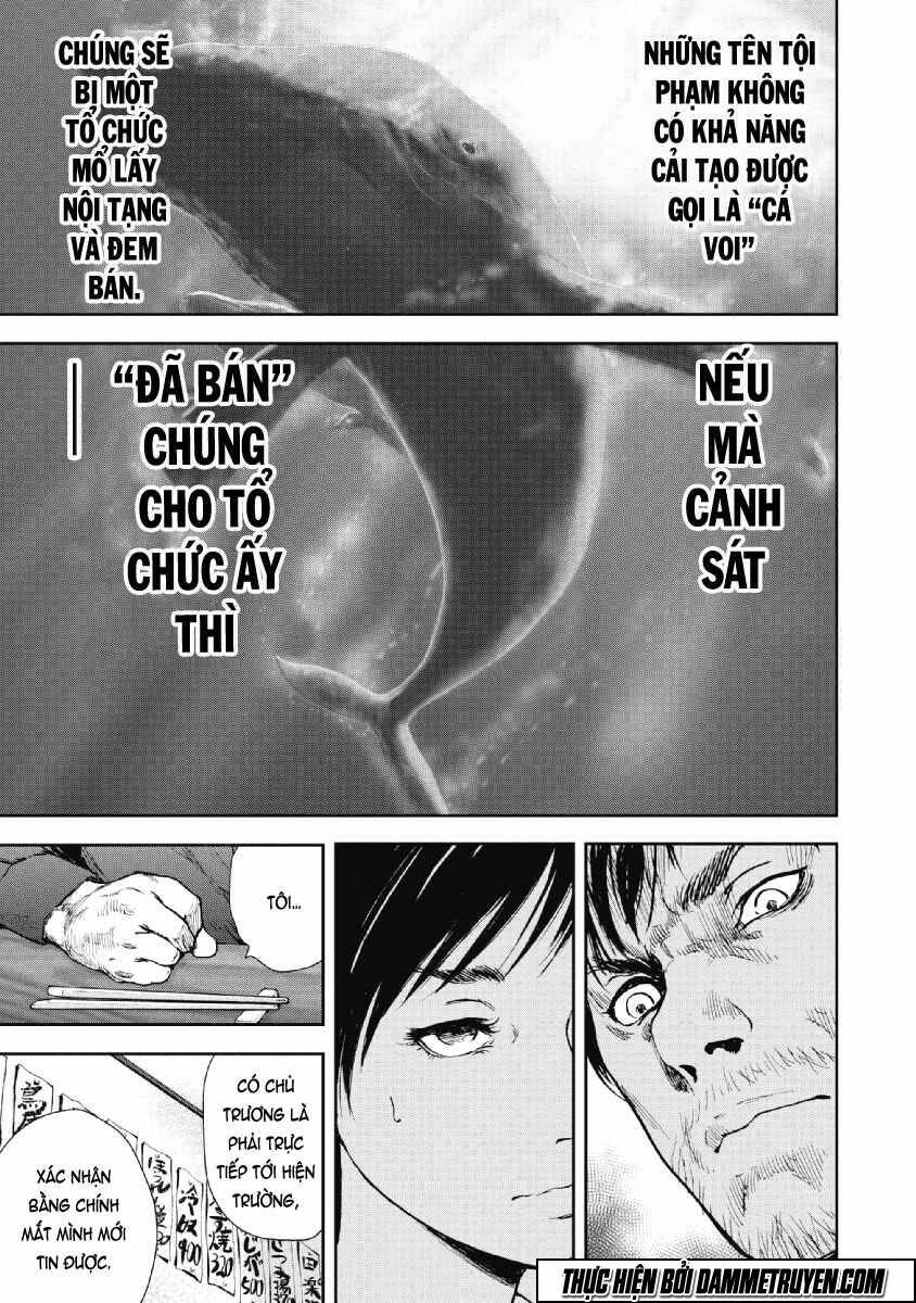 Chapter 52