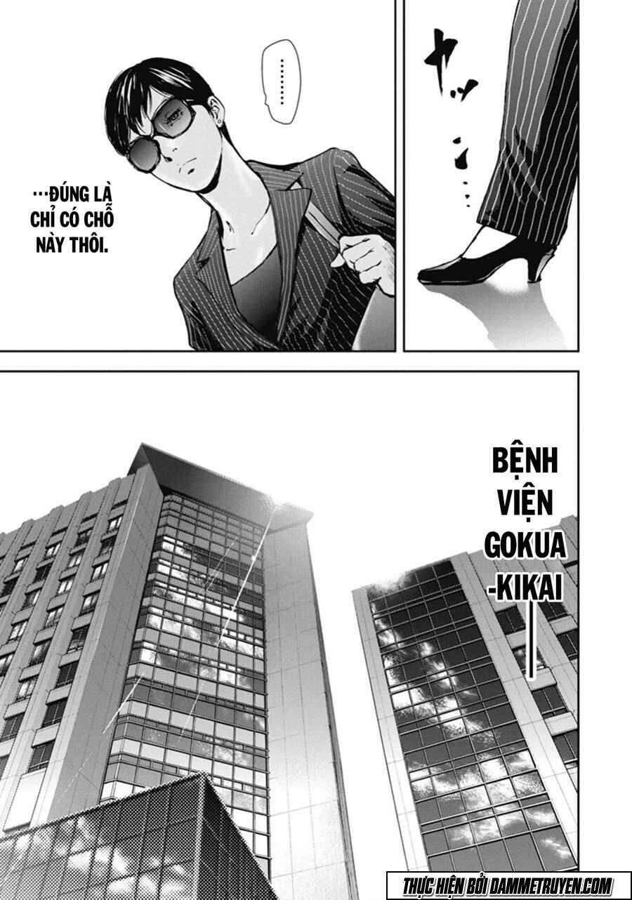 Chapter 41