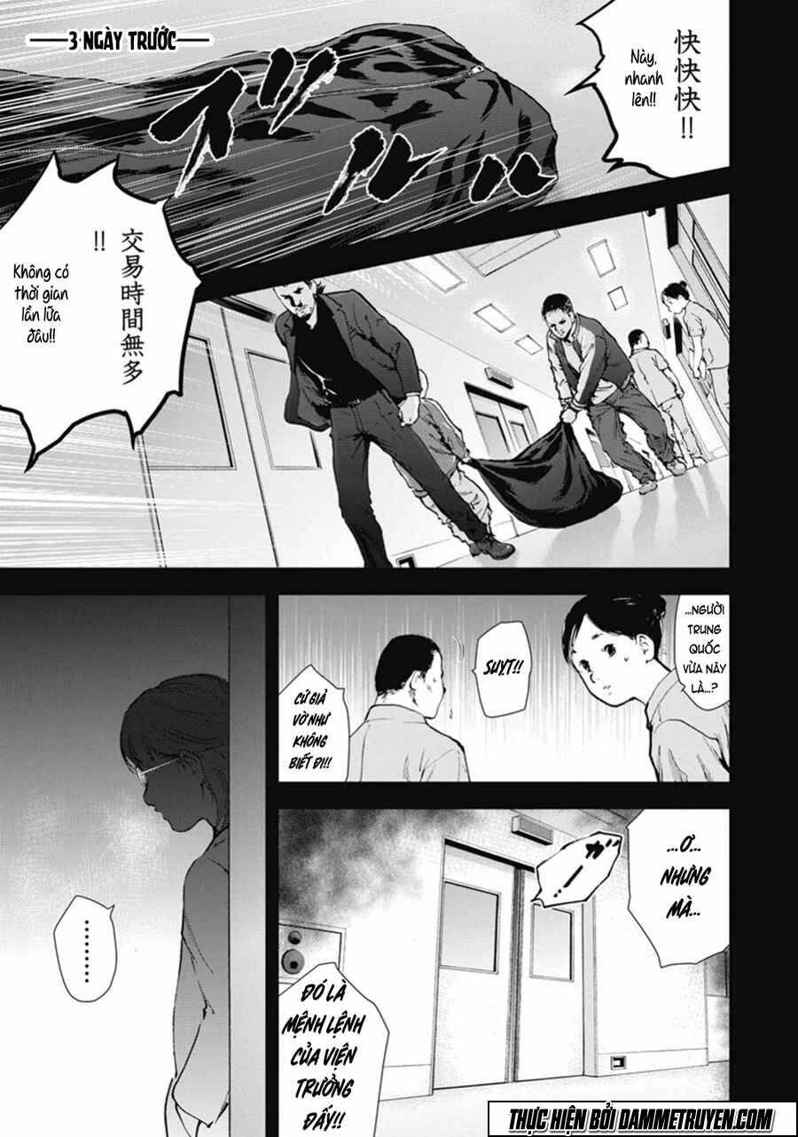 Chapter 41