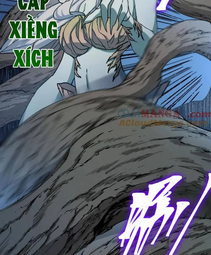 Chapter 269