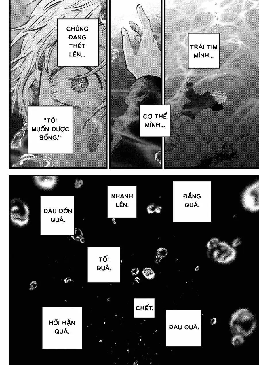 Chapter 164