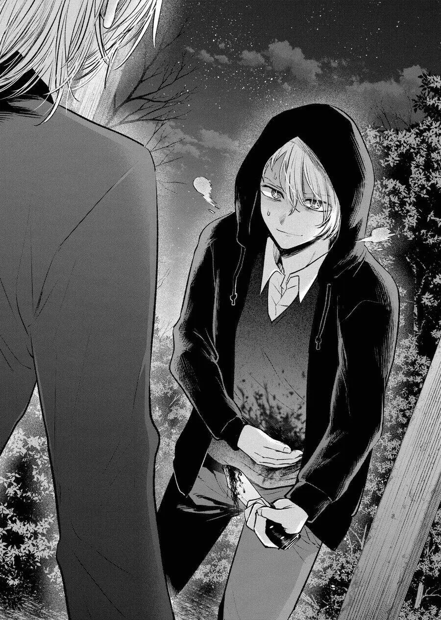 Chapter 161