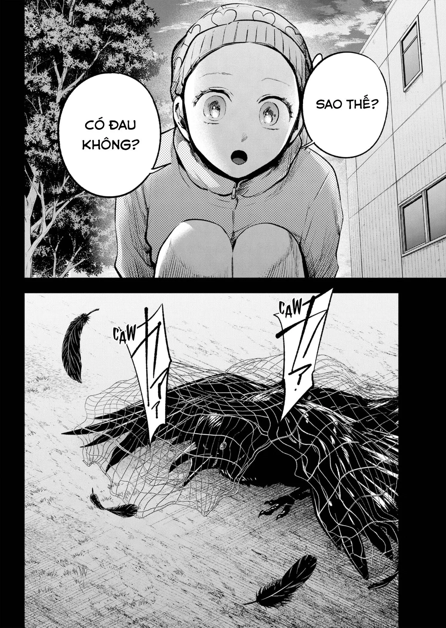 Chapter 145