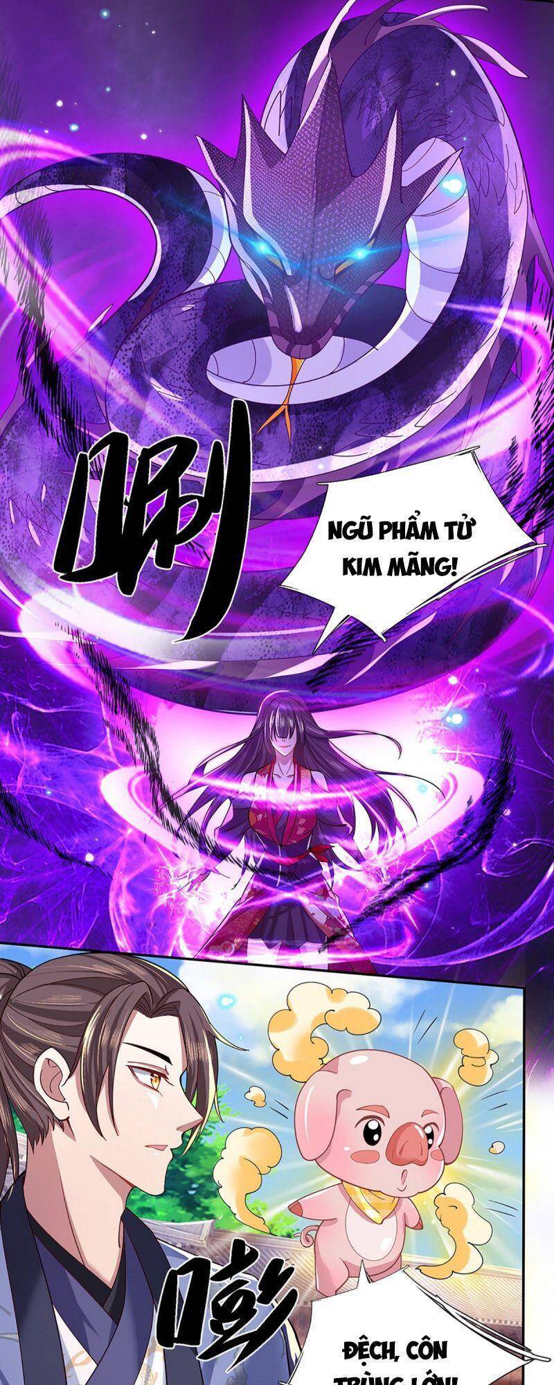 Chapter 51