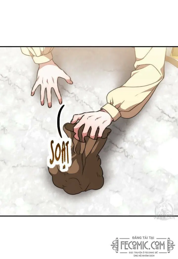Chapter 29