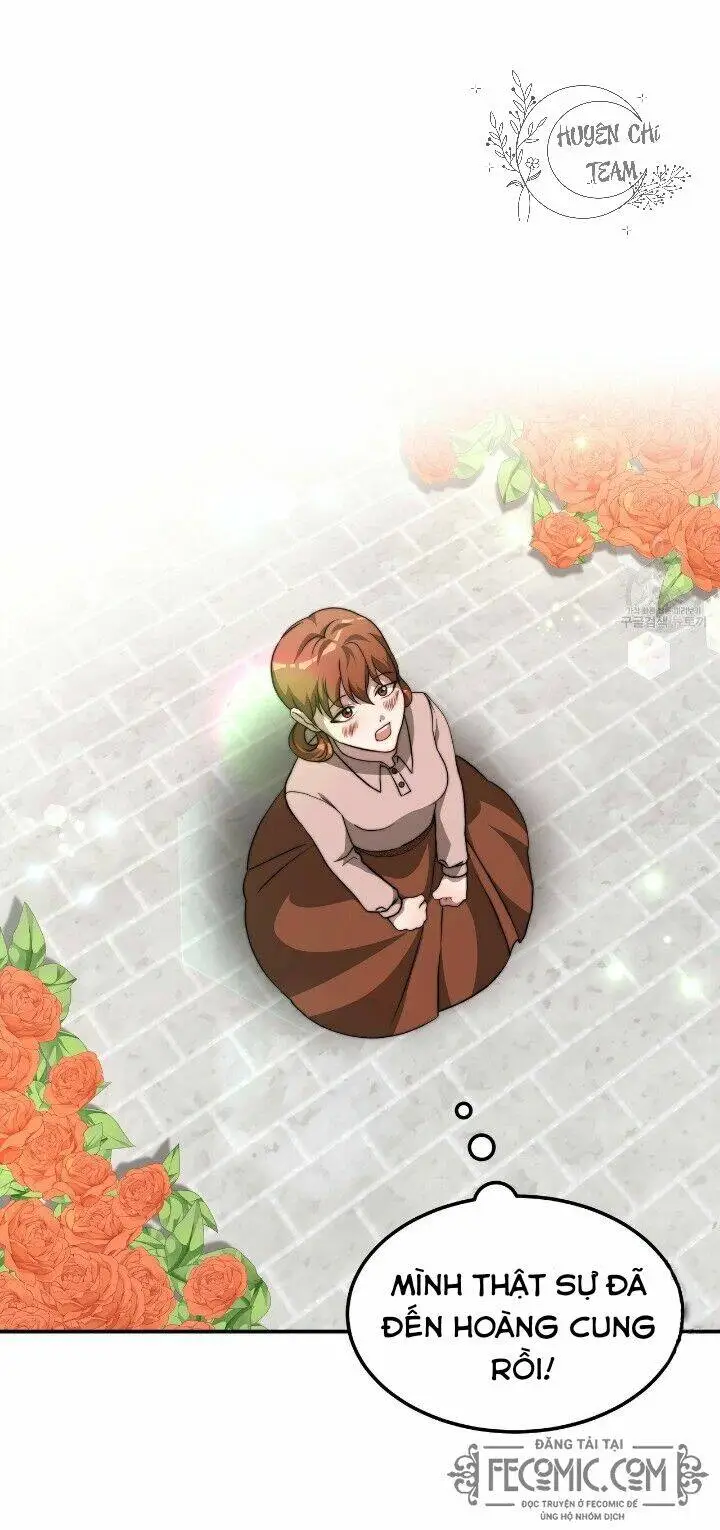Chapter 28