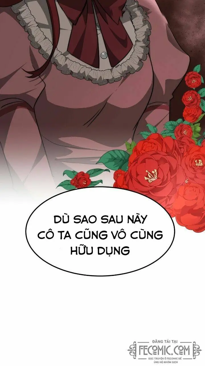 Chapter 28