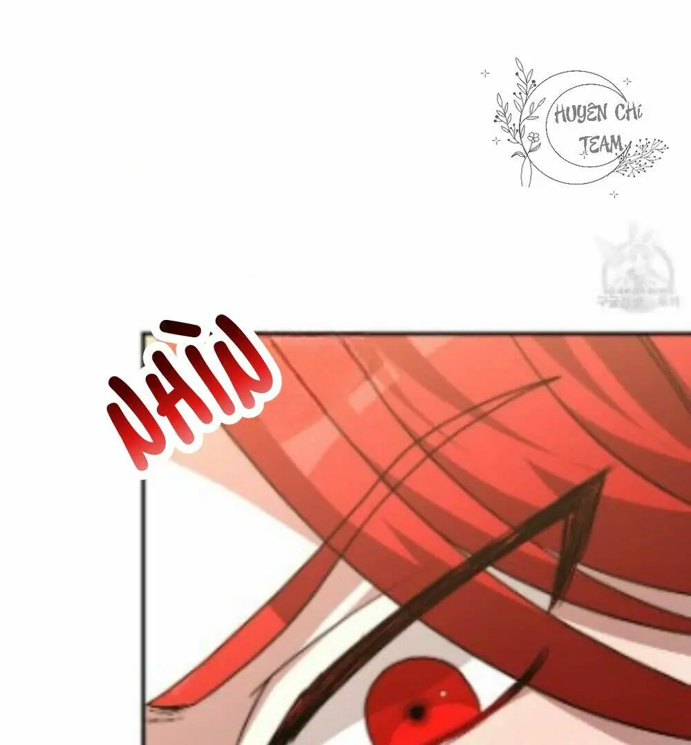 Chapter 25