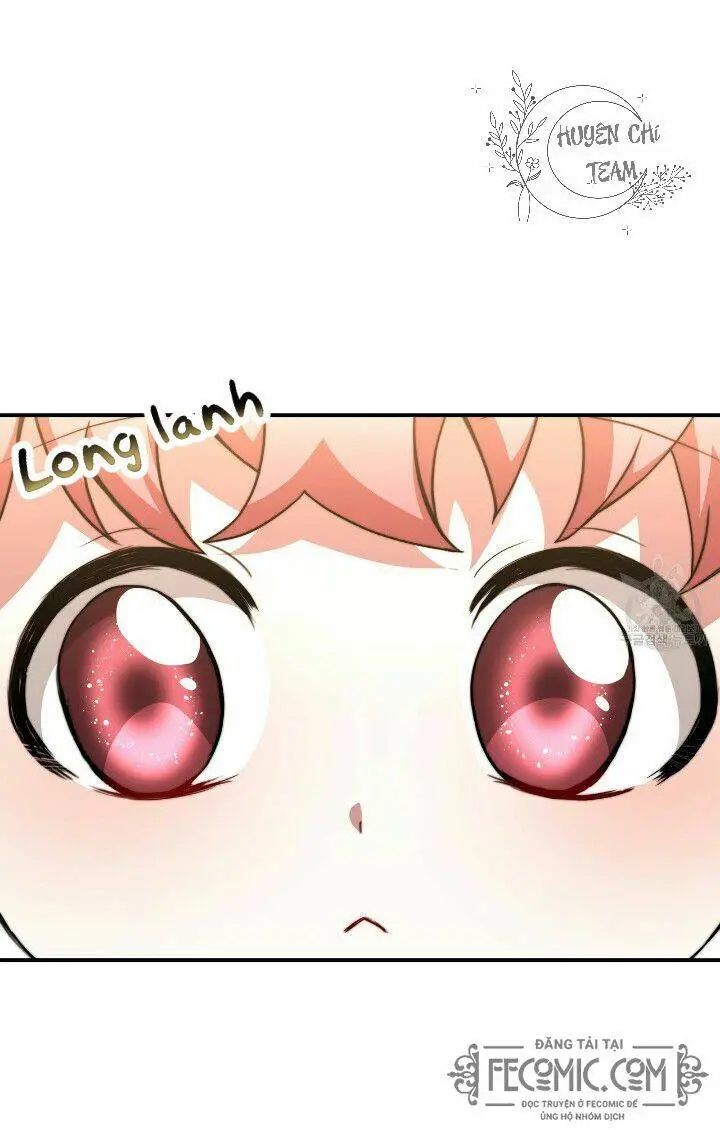 Chapter 23