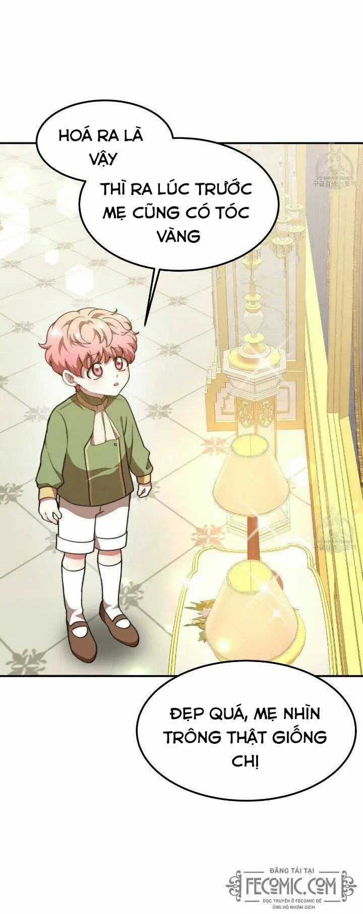 Chapter 20
