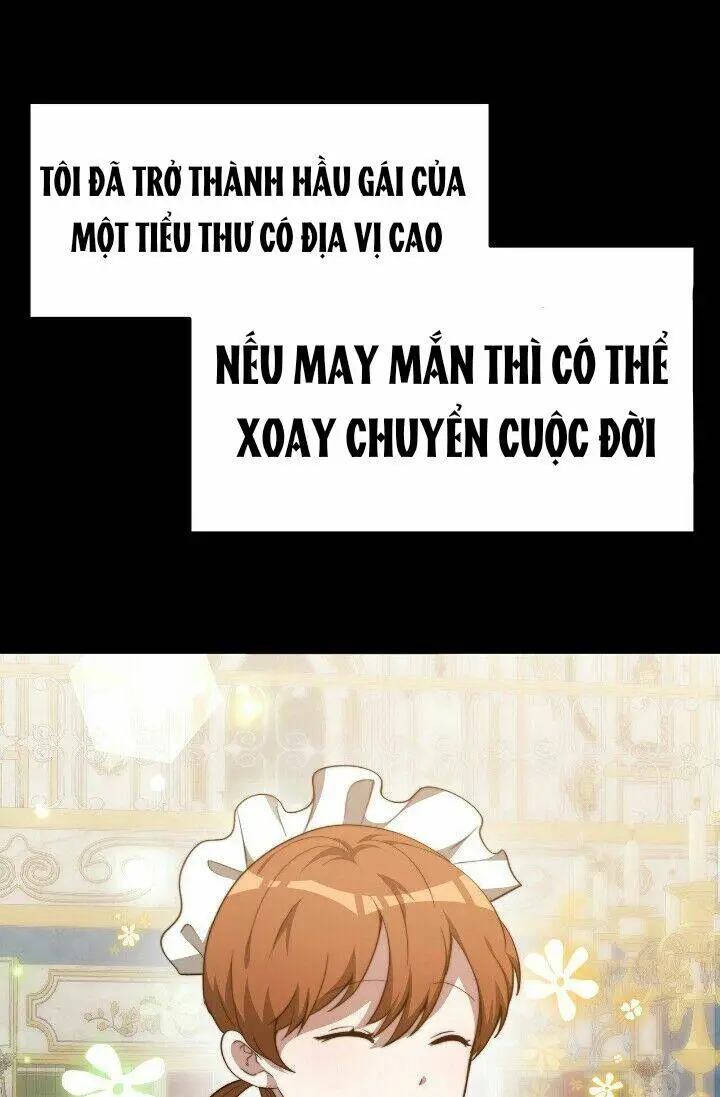 Chapter 20
