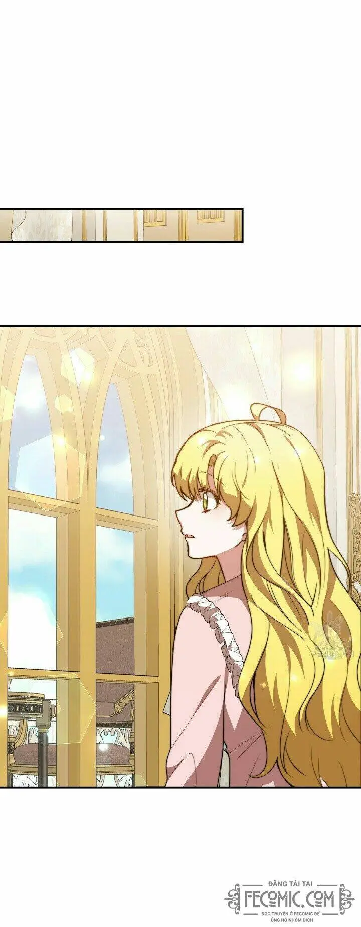 Chapter 19