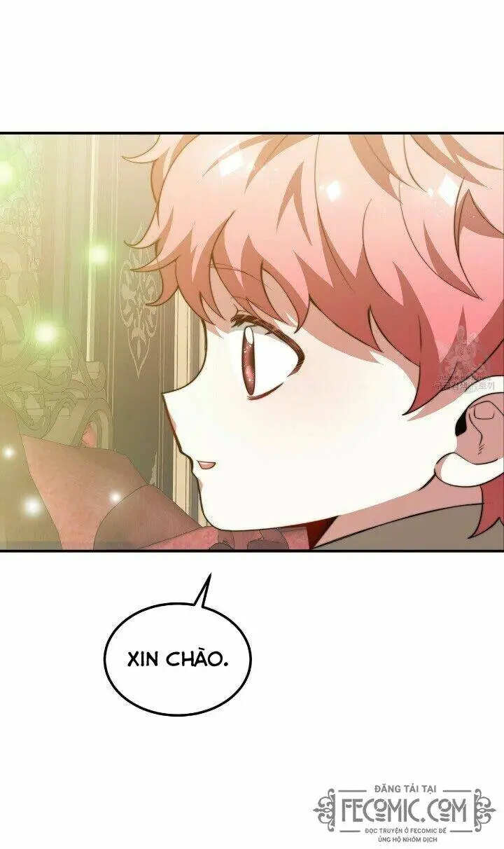 Chapter 19