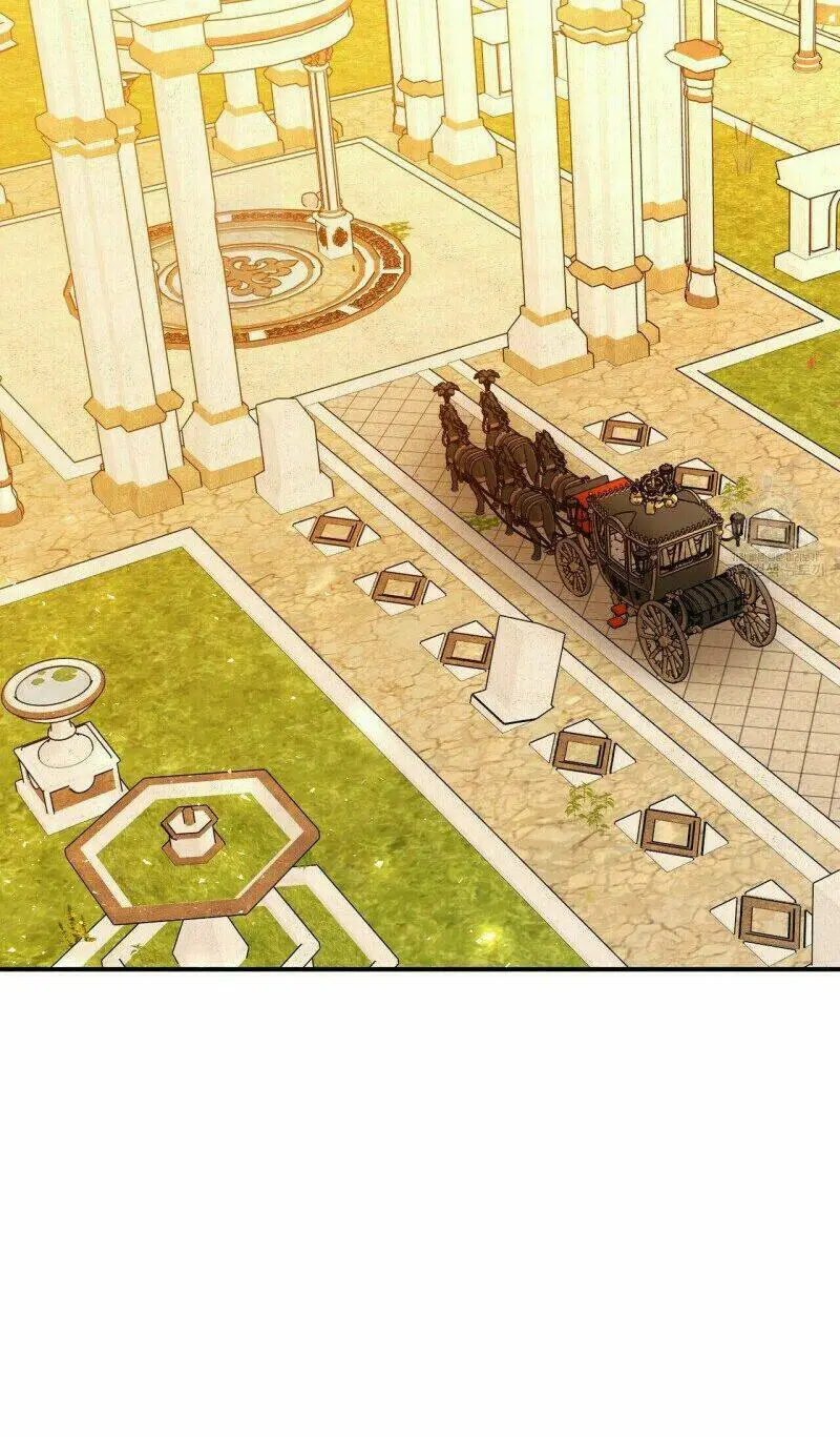 Chapter 15