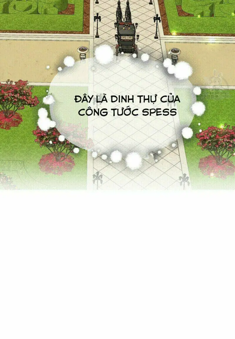 Chapter 15