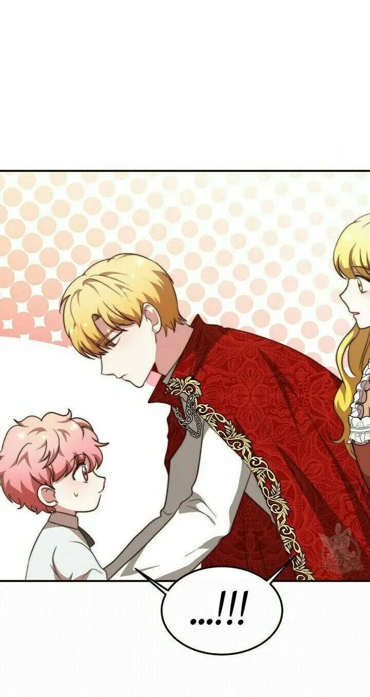 Chapter 13